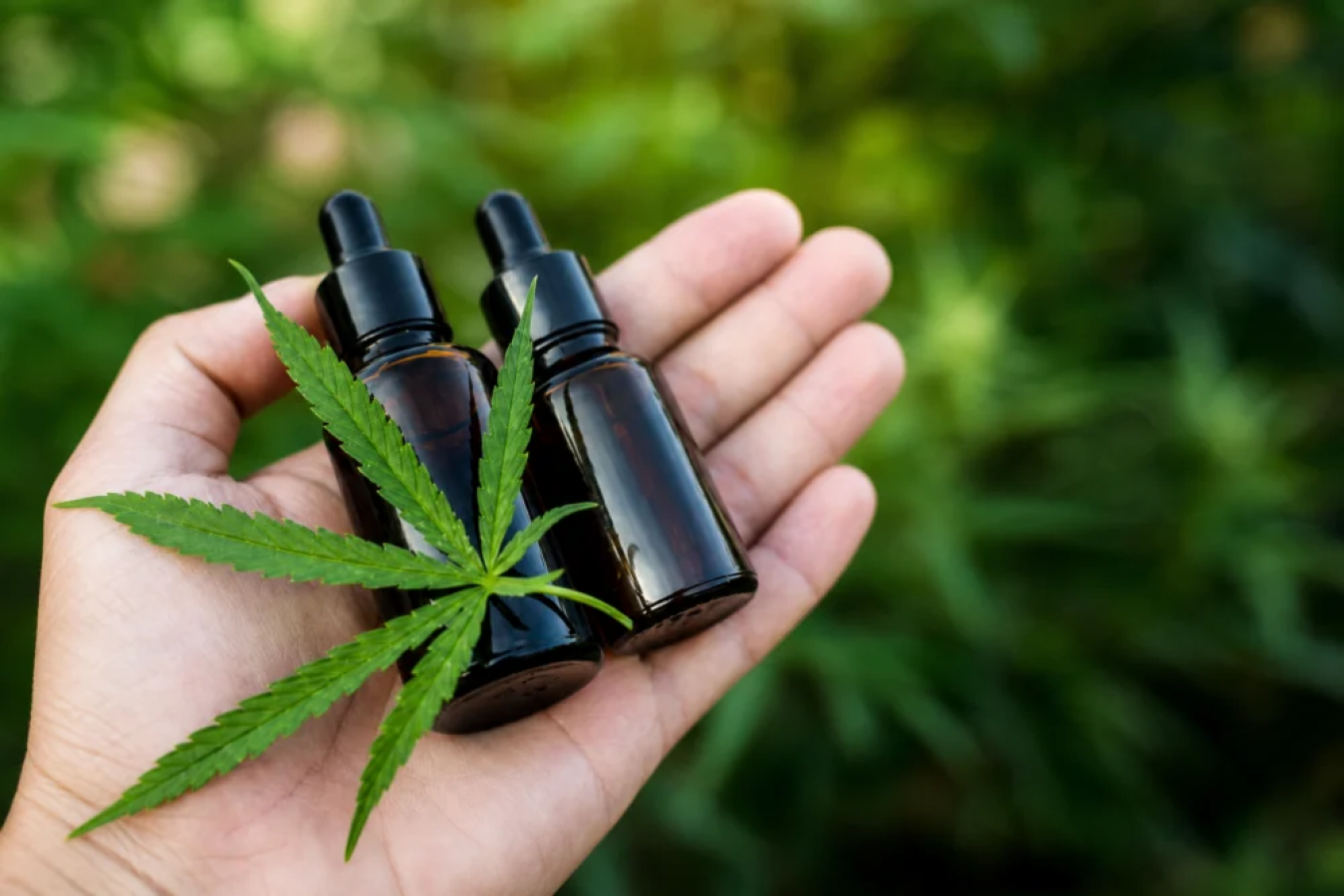RN regulamenta fornecimento de cannabis medicinal pelo SUS para crianças com epilepsia