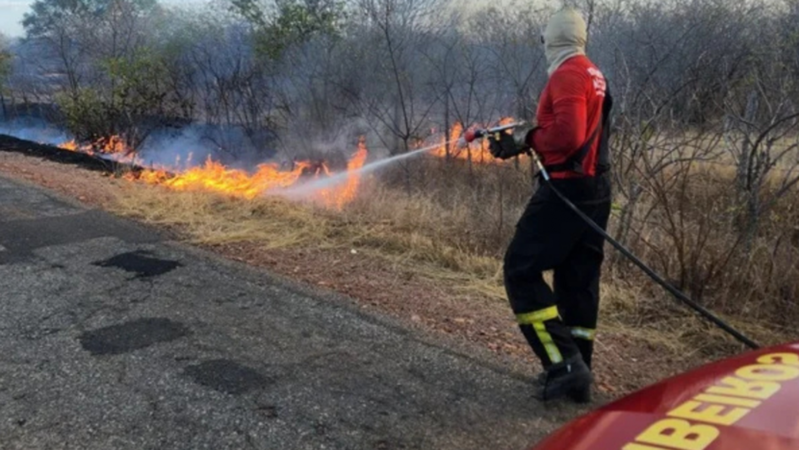 Bombeiros combatem incêndio de grandes proporções em área de vegetação no RN