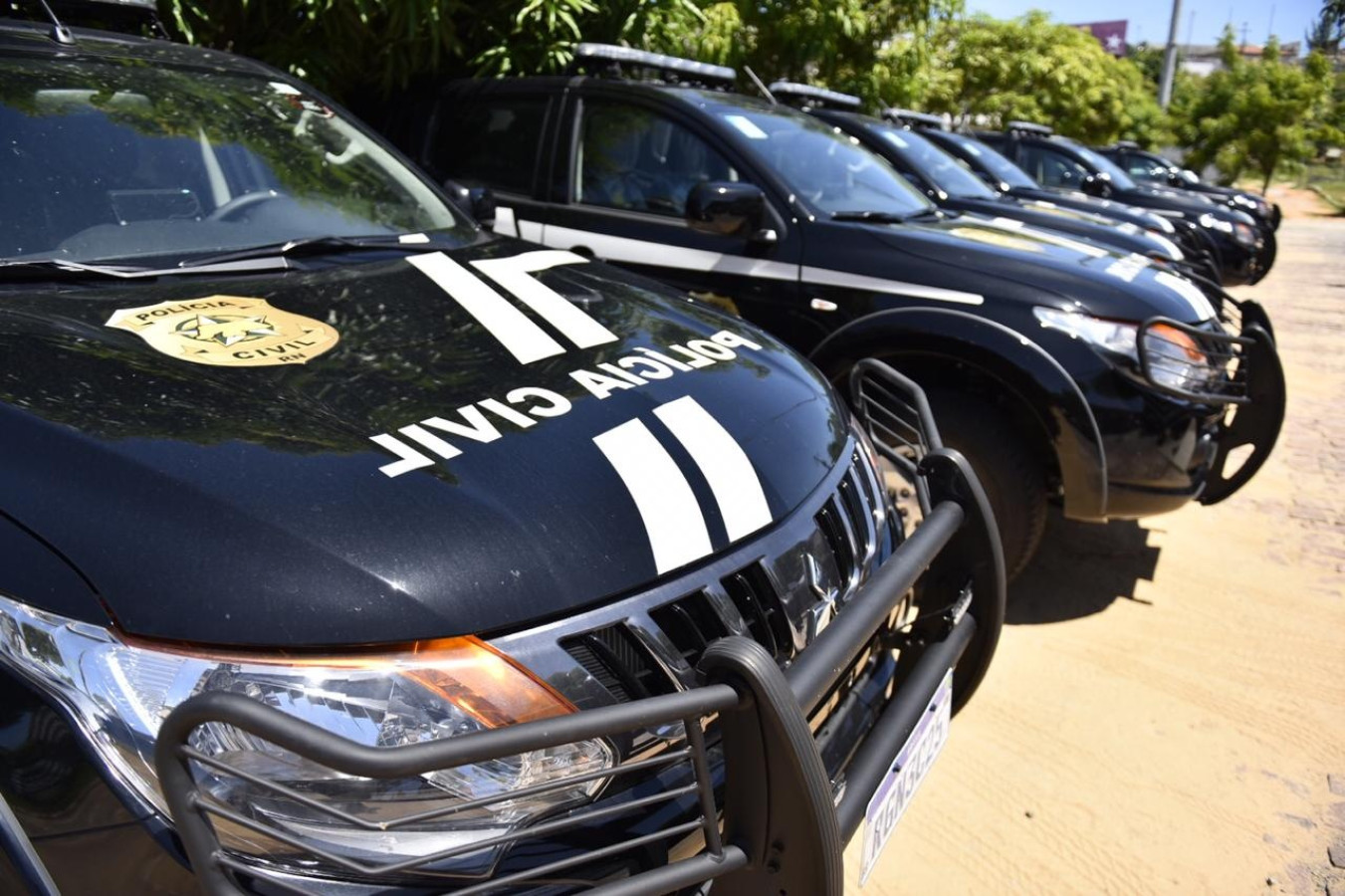 Pai é preso suspeito de agredir filho com pedaço de madeira no RN