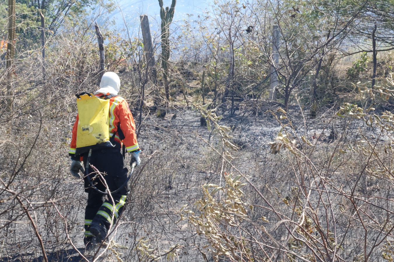Bombeiros atendem sete ocorrências de incêndio em vegetação em Mossoró