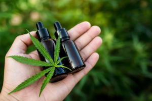 RN regulamenta fornecimento de cannabis medicinal pelo SUS para crianças com epilepsia