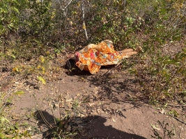 Homem é encontrado morto com a cabeça decapitada em Serra do Mel