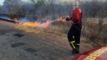Bombeiros combatem incêndio de grandes proporções em área de vegetação no RN
